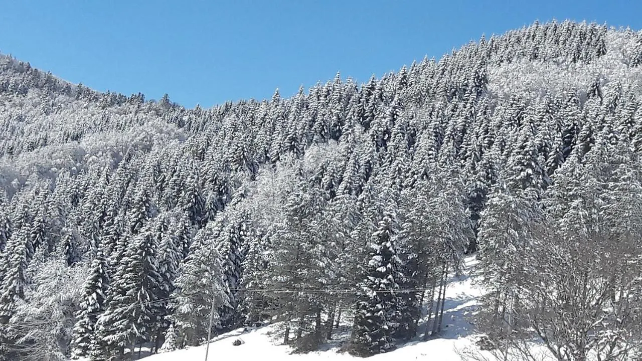 Le balcon des cimes B&B Adast 3*,