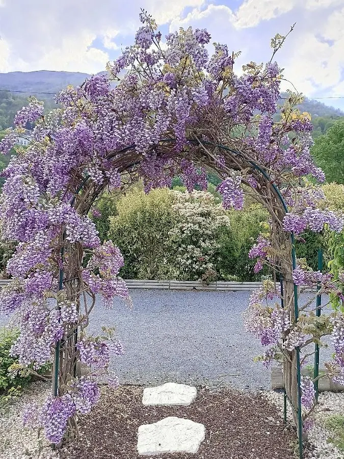 *** Couette-café Le balcon des cimes B&B Adast France