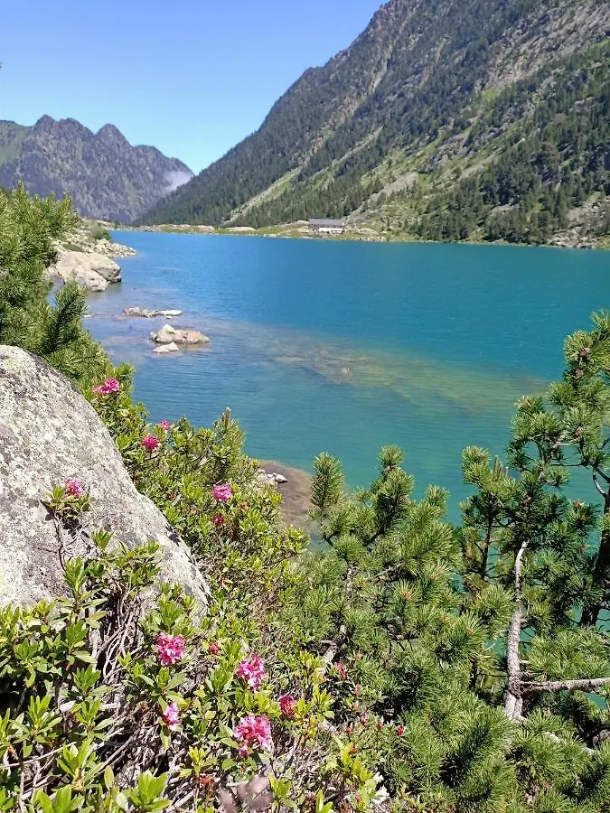 Le balcon des cimes B&B Adast 3*,